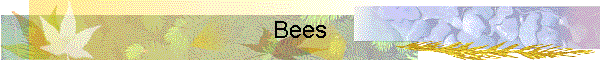 Bees