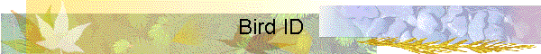 Bird ID
