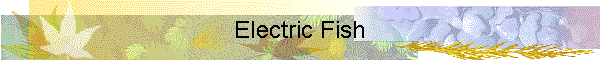 Electric Fish