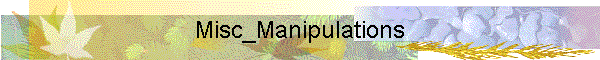 Misc_Manipulations