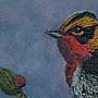 Blackburnian Warbler by Kim Cheung, Grade 9